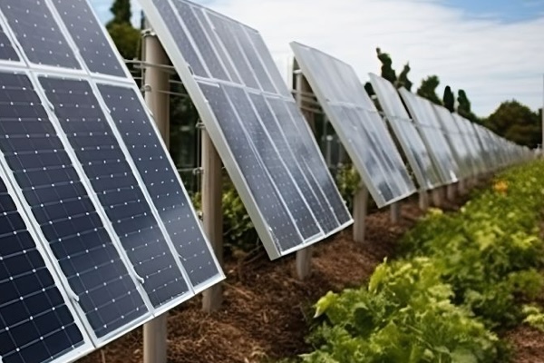 Bando Agrisolare 2026 a Torre suda